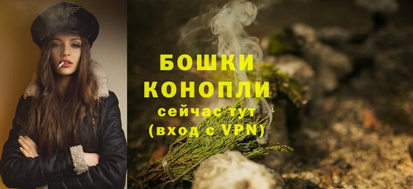 трава Арсеньев