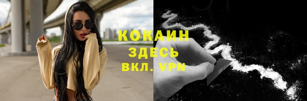 трава Арсеньев