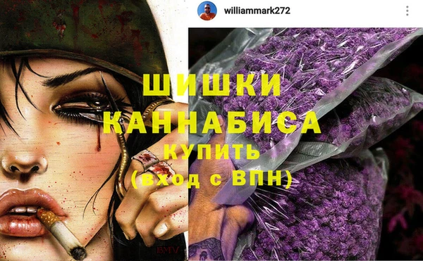трава Арсеньев