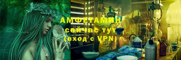 трава Арсеньев