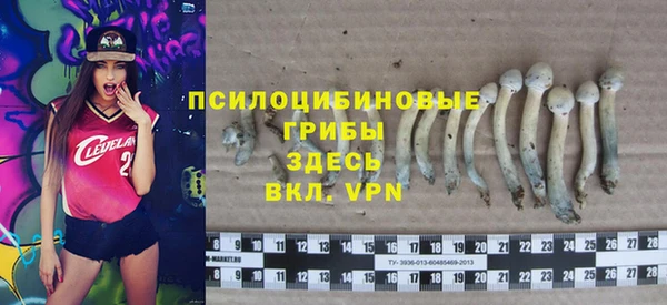 твердый Аркадак